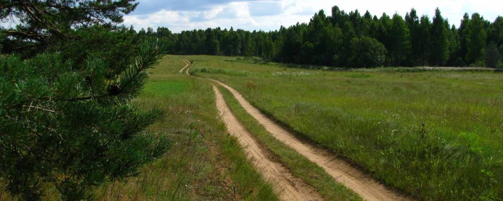 будница велижский район смоленской области. псковская область невельский район деревня демешково деревню сожгли. невельское донецкая область на карте донецка. д рогово псковская область пыталовский район. невельское днр.