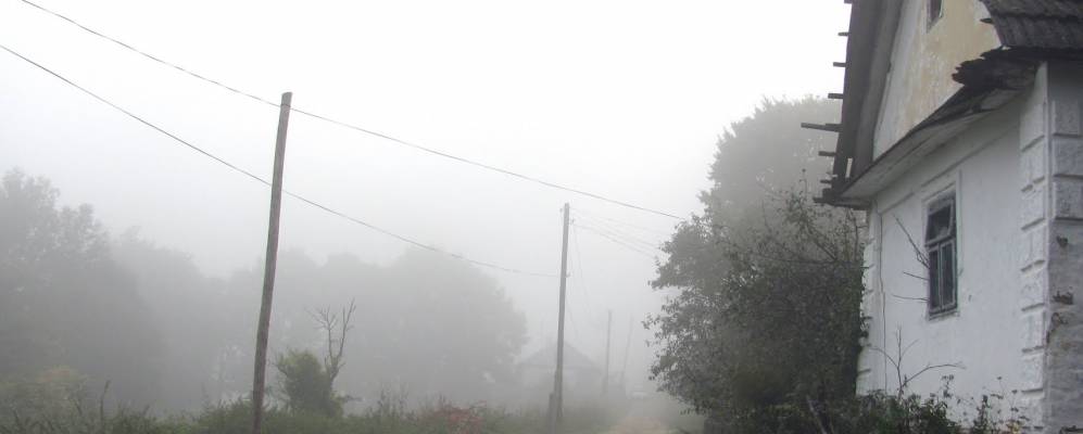 
            Фотография Мечищева