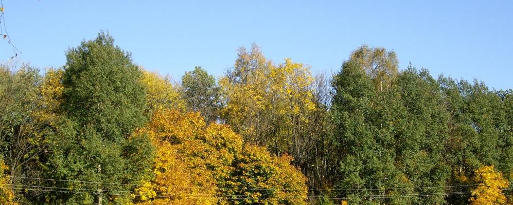 
            Фотография Синьково