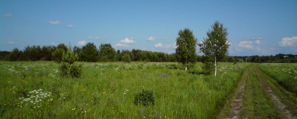 
            Фотография Карлухи