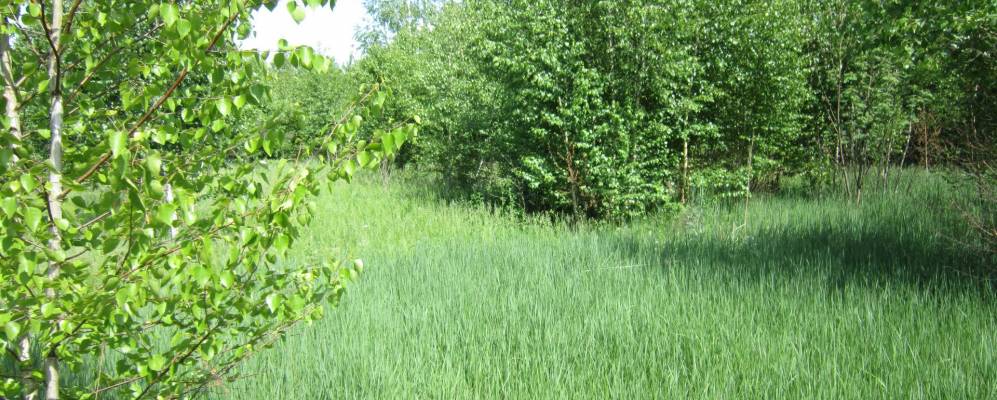 
            Фотография Парижской Коммуны