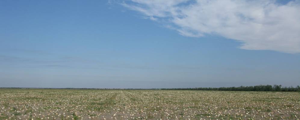 белозёрка херсонская область. нововоронцовский район херсонской области. карта херсонской обл. ярошик генический район. херсонская область на карте украины.