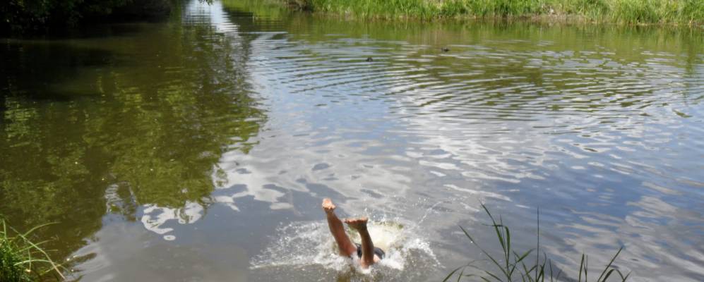 
            Фотография Новопроцикова