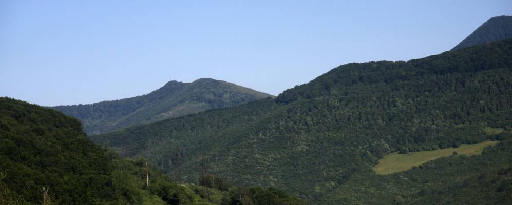 
            Фотография Абранки