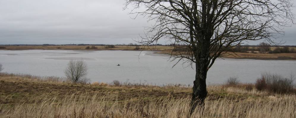 
            Фотография Соколино