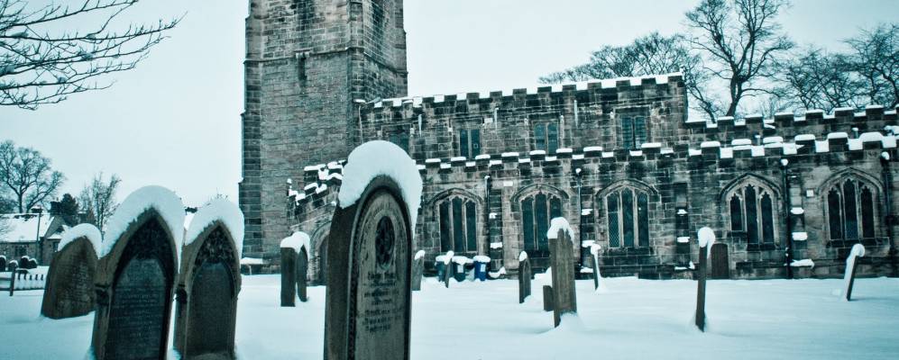 
            Фотография Дартона