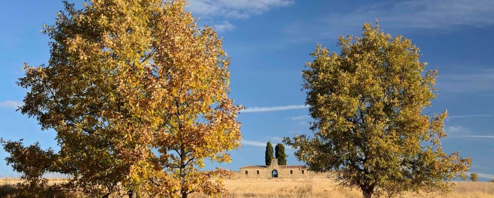 
            Фотография Сидонес