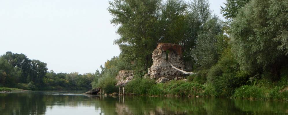 
            Фотография Кураповки