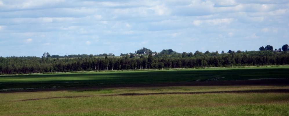 Фотография Жвойришков Больших