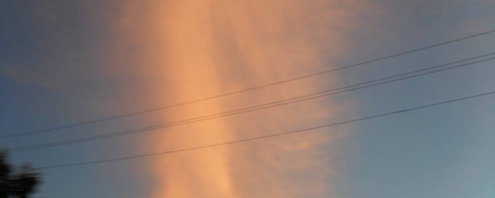 
            Фотография Нифанки