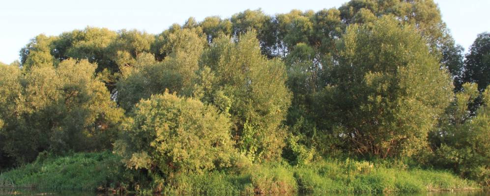 
            Фотография Новой Воробьевки