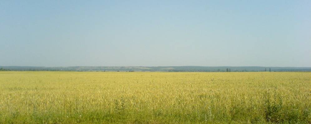 
            Фотография Дмитровки