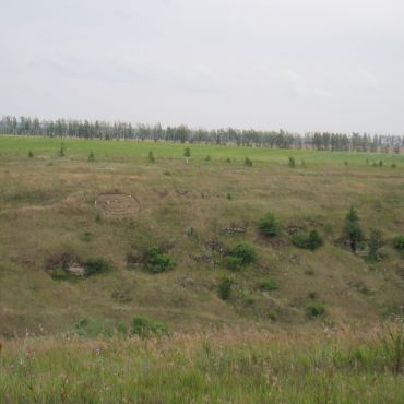 Аргамач-Пальна