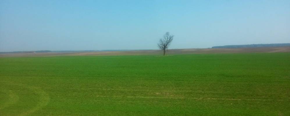 
            Фотография деревни Стоки