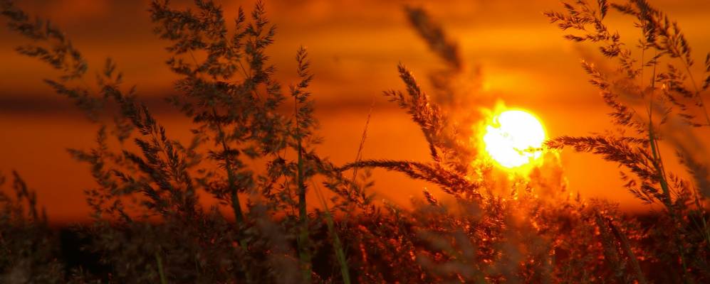 
            Фотография Шегодской