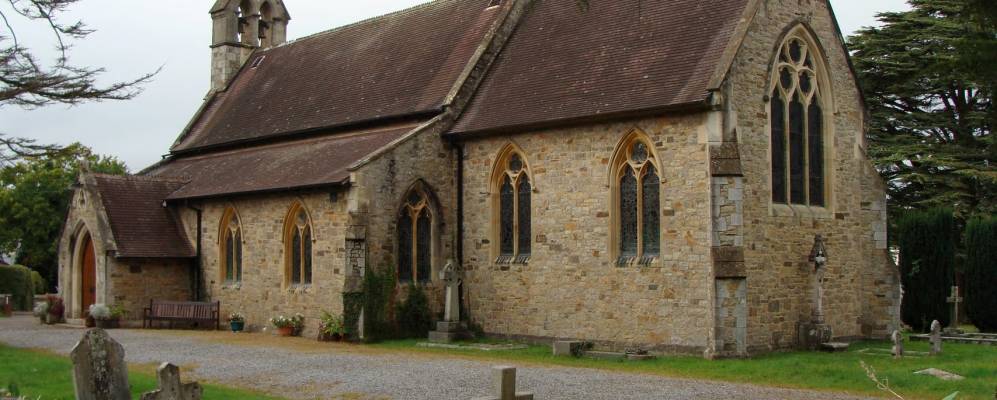 
            Фотография Бови Трейси