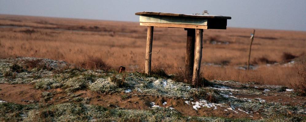 
            Фотография Берегового