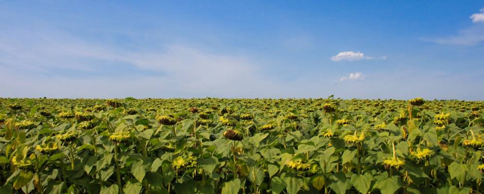 
            Фотография Боброва