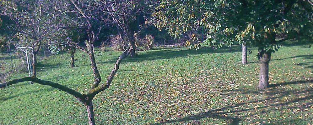 
            Фотография Сарри