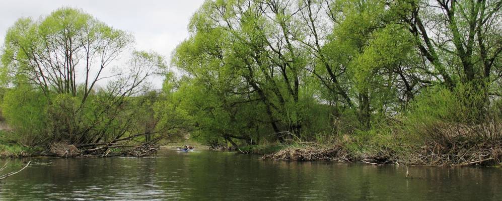 Фотография Джуровки