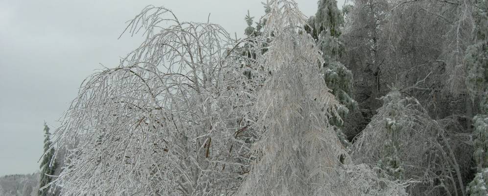 
            Фотография Туманово