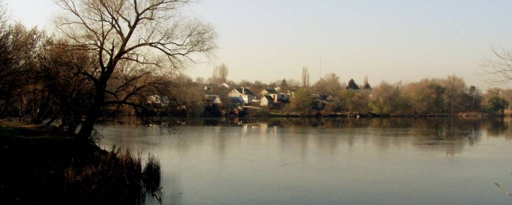 
            Фотография Степового