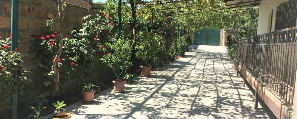 
            Фотография Ахцка