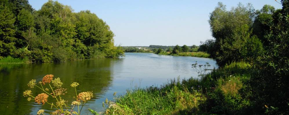 
            Фотография Ровца