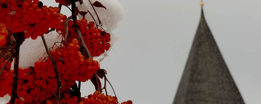 
            Фотография Трета