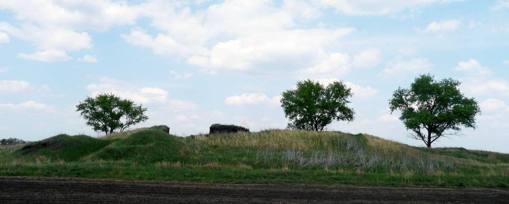 
            Фотография Трудолюбовки