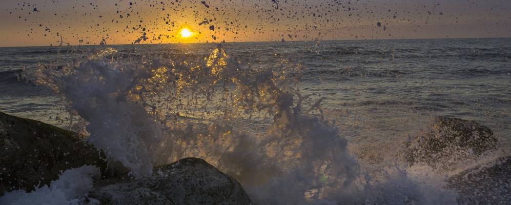 
            Фотография О