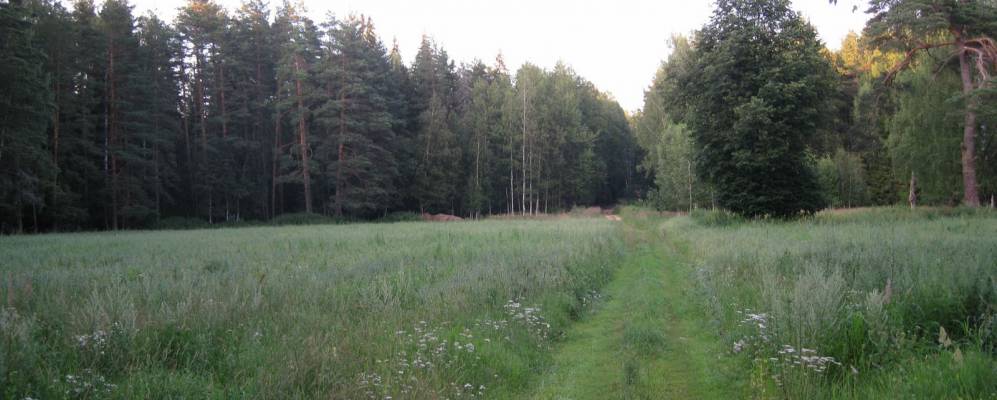 Фотография Веретьевского Погоста