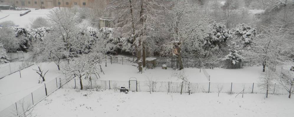 
            Фотография Дрюланжана