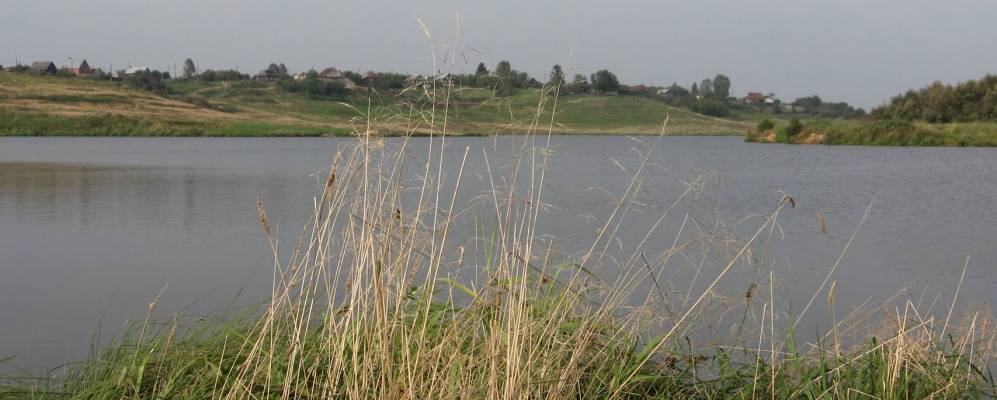 
            Фотография Фатихи