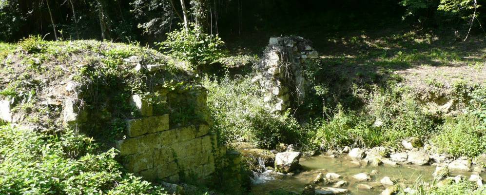 
            Фотография Блазимон