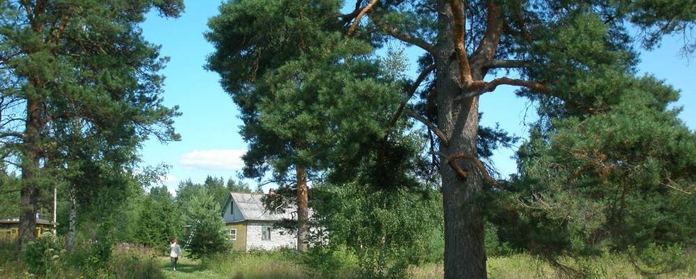 
            Фотография Алалампи