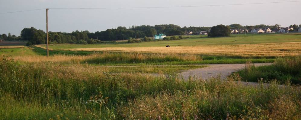 
            Фотография Александровичей