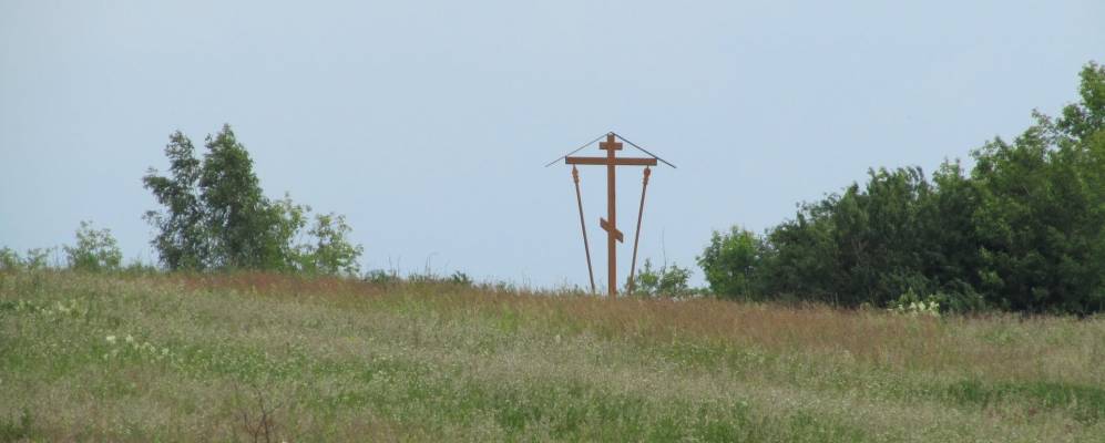 
            Фотография Вишневой