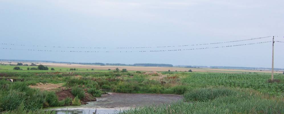 Фотография Басмановки