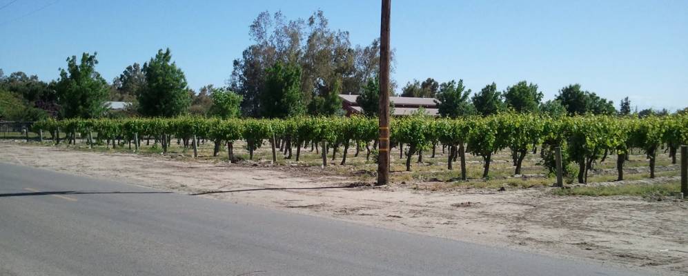 
            Фотография Истона