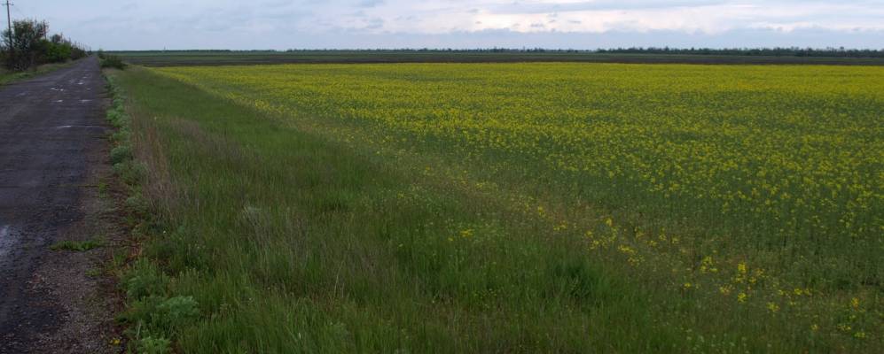 
            Фотография Львовские Отрубы