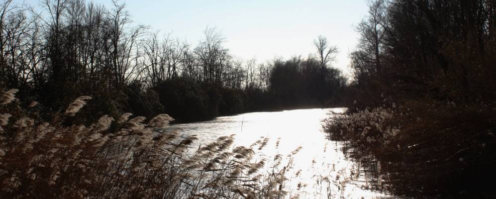 
            Фотография Бруссы