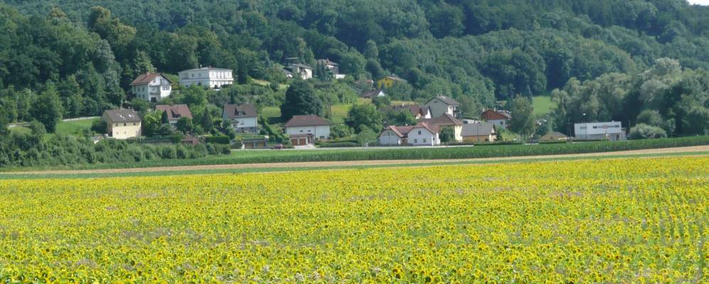 
            Фотография Луфтенберг-на-Дунае