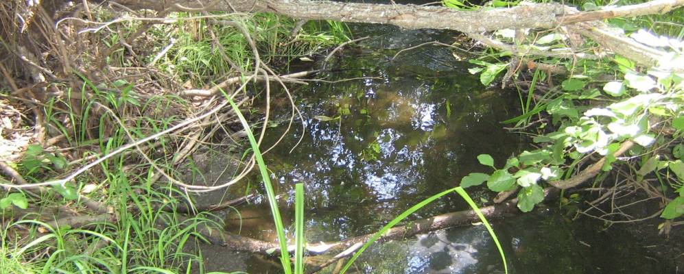 Фотография Крюково