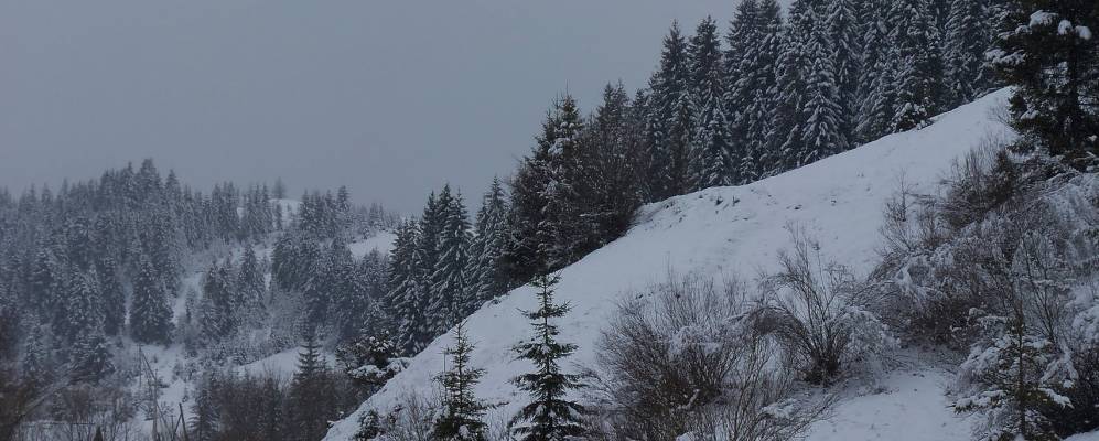 
            Фотография Головецко