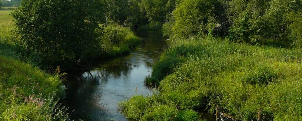 
            Фотография Калиновки