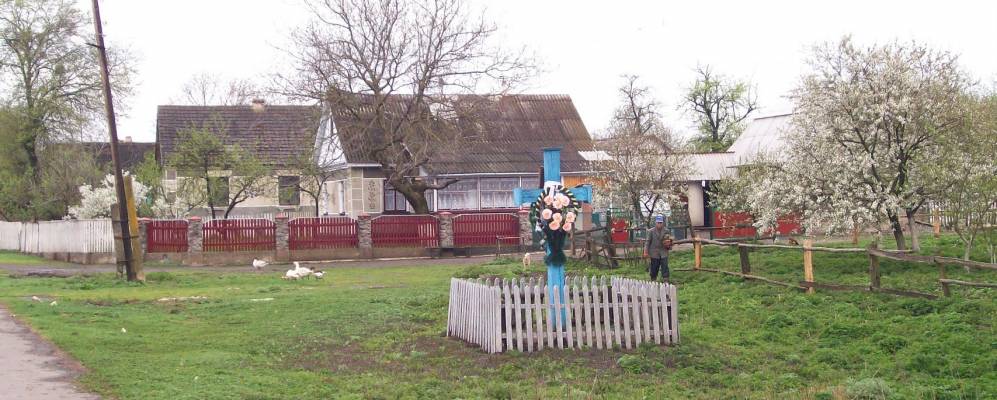 
            Фотография Досина