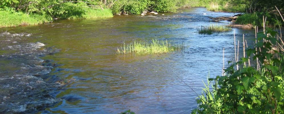 
            Фотография Усадьбы