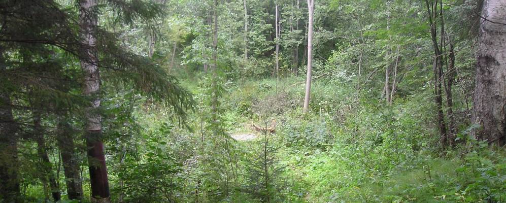 
            Фотография Нового Посада