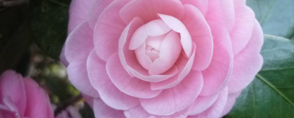 
            Фотография Кацуты